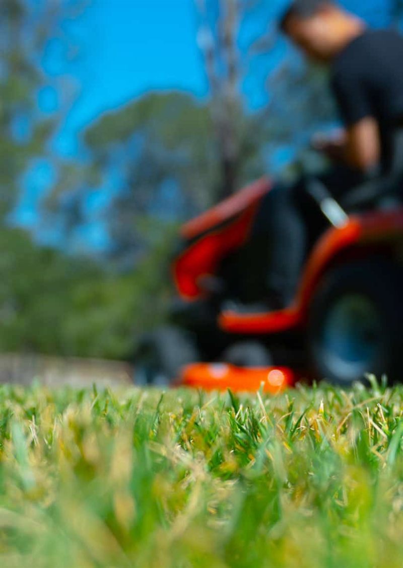 Jardín con camino de piedra y césped bien cuidado