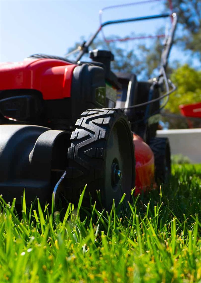 Patio exterior con zona de descanso y plantas ornamentales