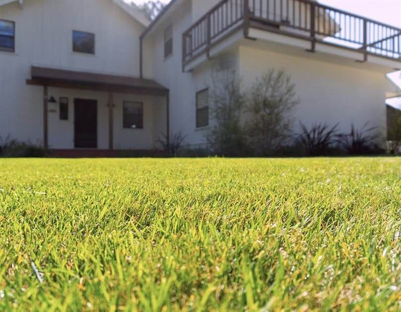 Jardín paisajístico con camino de piedra y vegetación variada